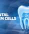 Dental Stem Cells